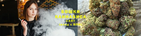 ГАЛЛЮЦИНОГЕННЫЕ ГРИБЫ Коряжма