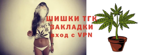 мдпв Новосибирск