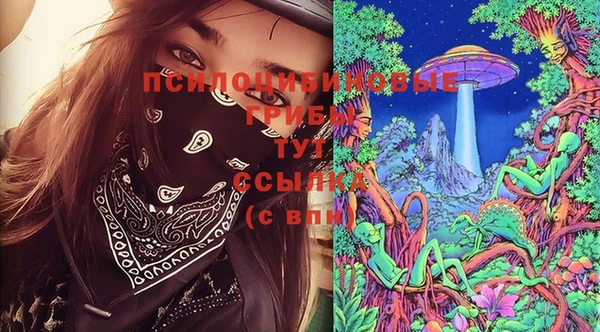 гидропоника Краснослободск
