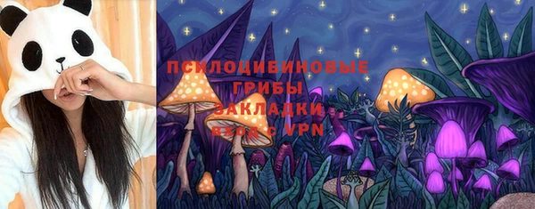 гидропоника Краснослободск
