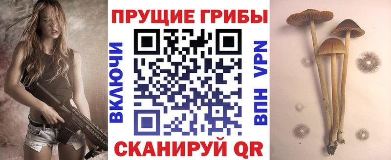 Псилоцибиновые грибы прущие грибы  мега ссылка  Южно-Сухокумск 
